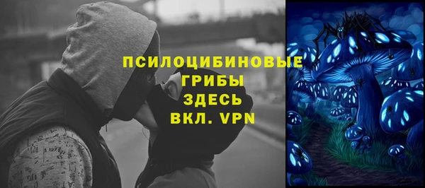 ECSTASY Алексин